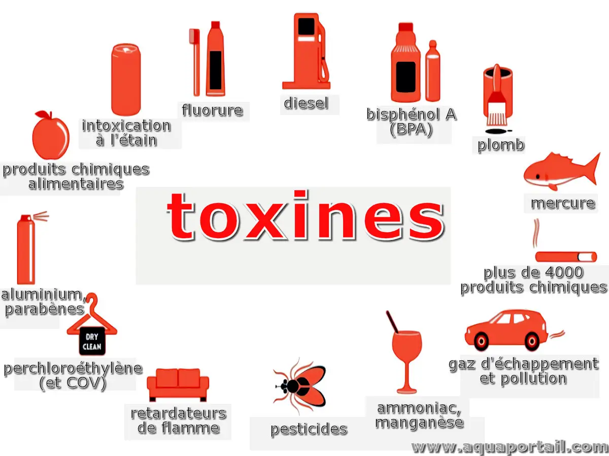 Toxines de la vie de tous les jours