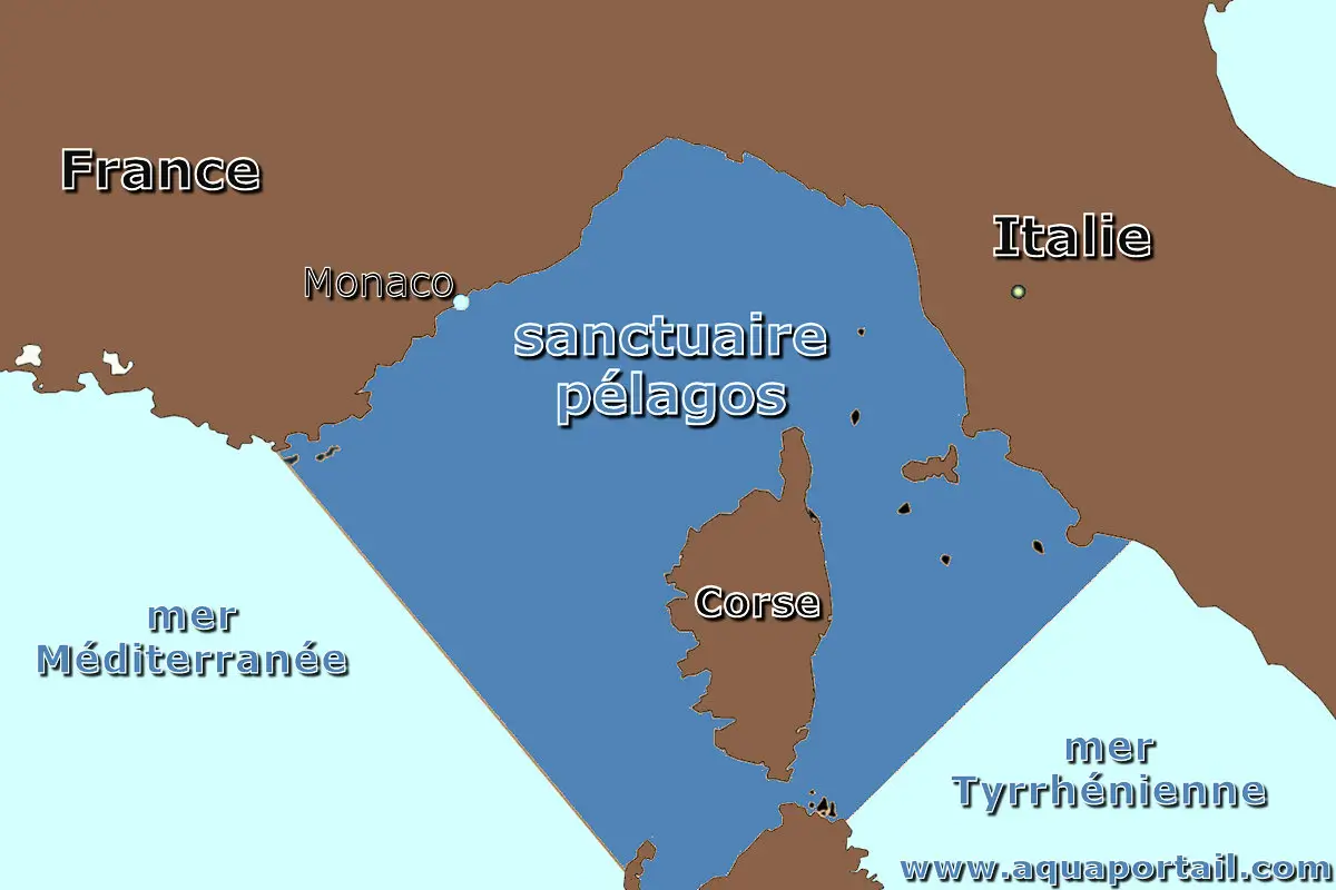 sanctuaire marin