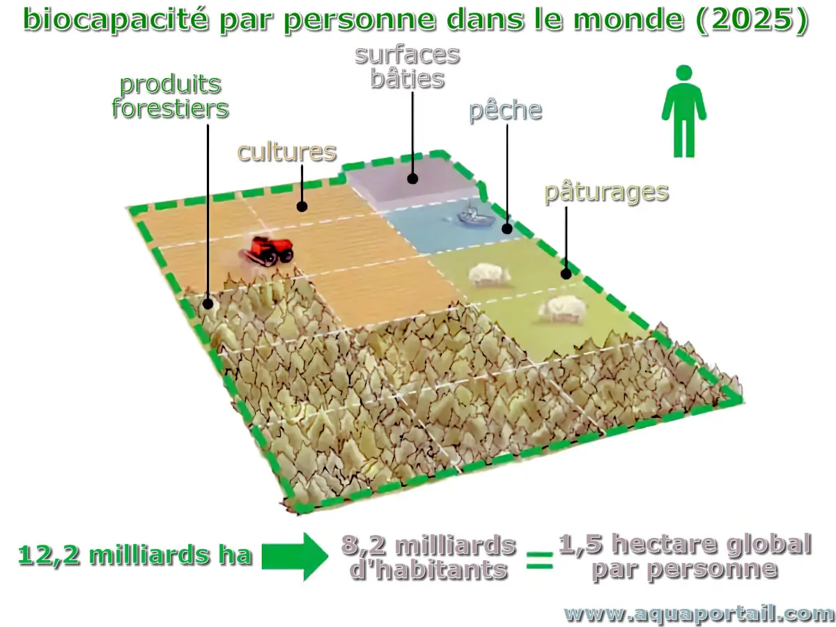 Biocapacité d'un hectare par personne