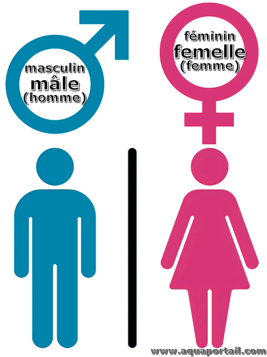 Symboles des genres