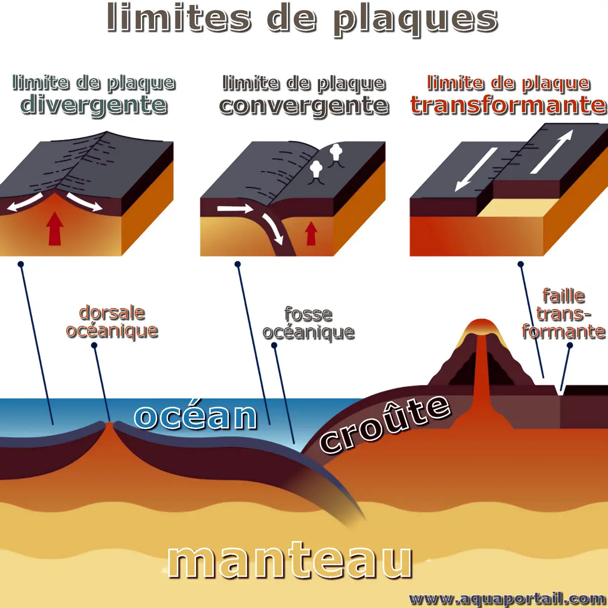 Plaques tectoniques