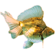 avatar lepoissonrouge