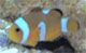 avatar gary2266