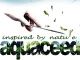 avatar ceed