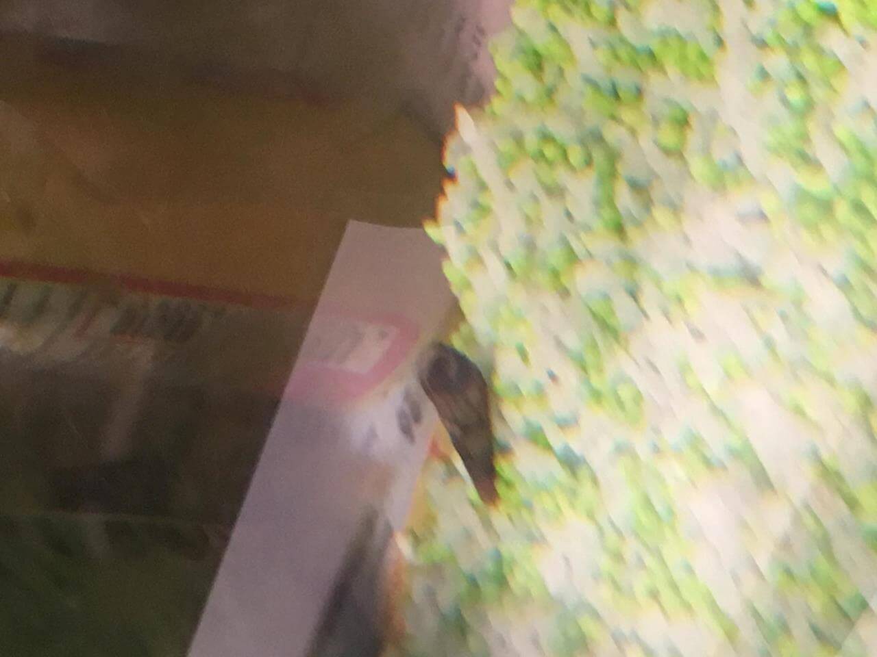 11774_580bd7c072309.jpg 1280X960 px