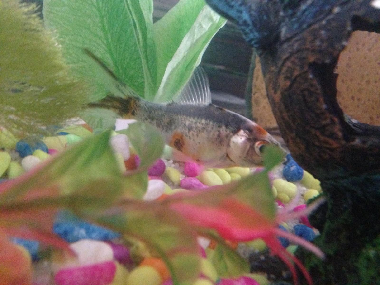 12141_584d5b1be06e5.jpg 1600X1200 px