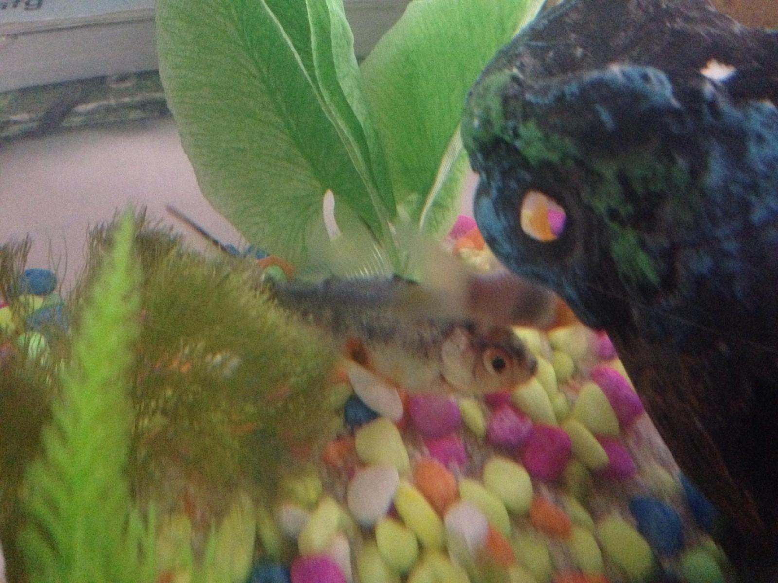 12141_584d5ca322a7d.jpg 1600X1200 px