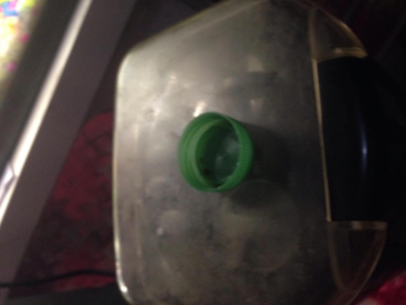 12141_584d9bc815e1f.jpg 1600X1200 px