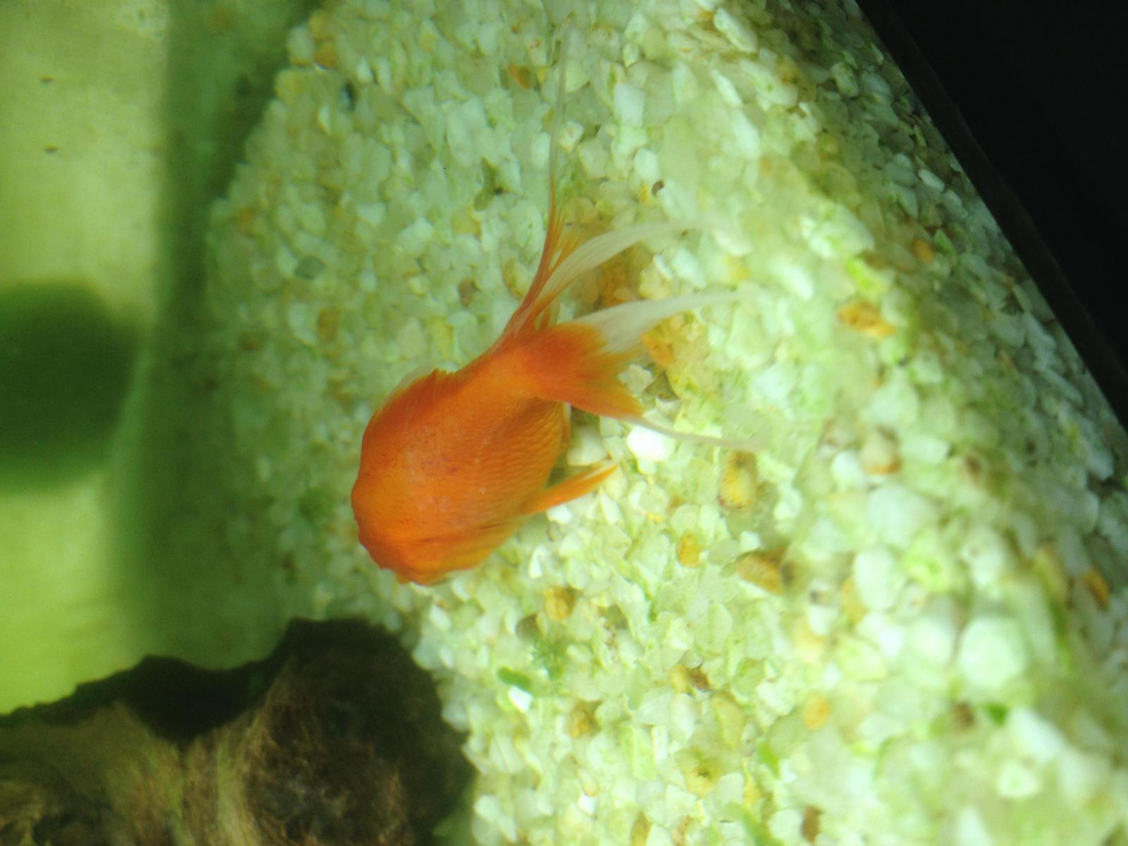 12931_592fc05769a33.jpg 1600X1200 px