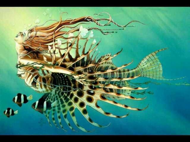 13196_5915a62e03c1d.jpg 640X480 px