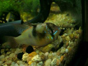 145_4870af7966dd5.jpg 300X225 px