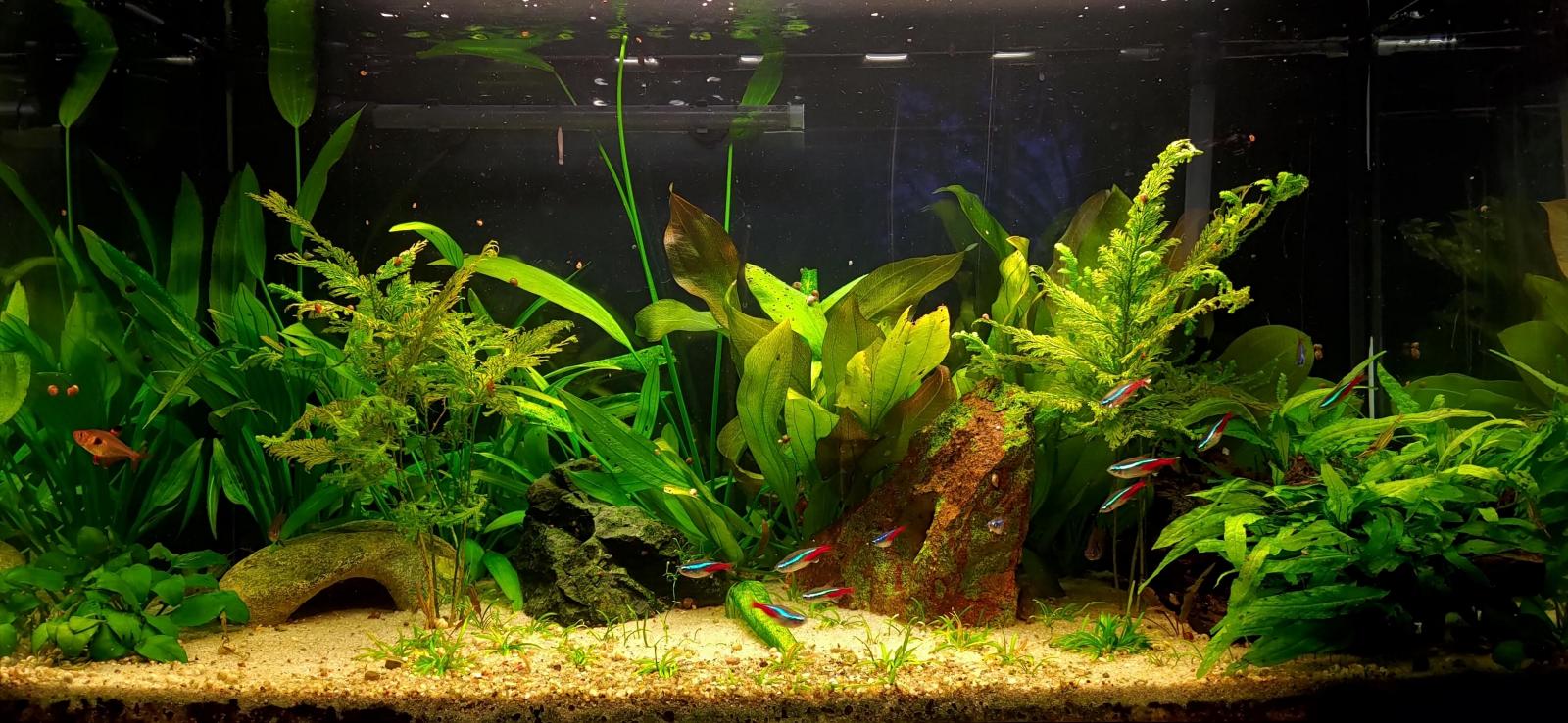 15783_5ea34437a6d74.jpg 1600X738 px