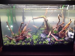 16663_5fd94020f0500.jpg 290X218 px