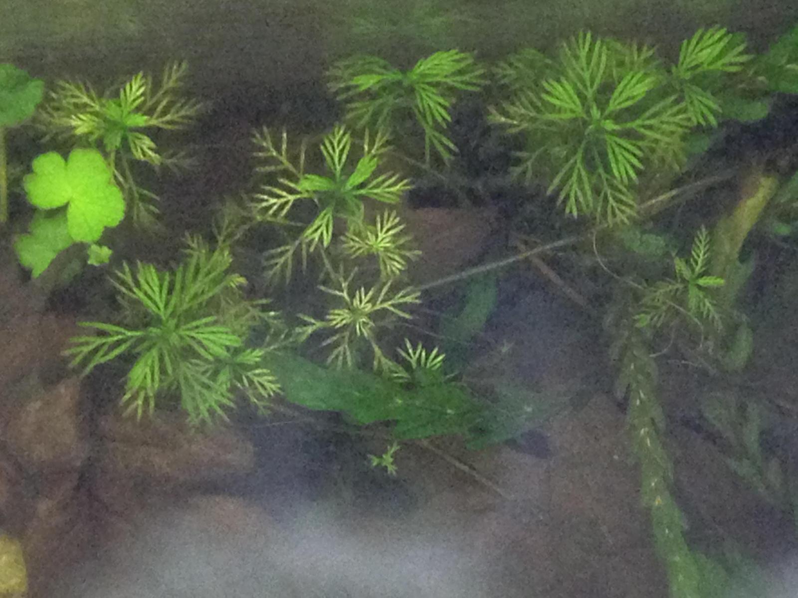 17128_5c4e3a4ebfb55.jpg 1600X1200 px