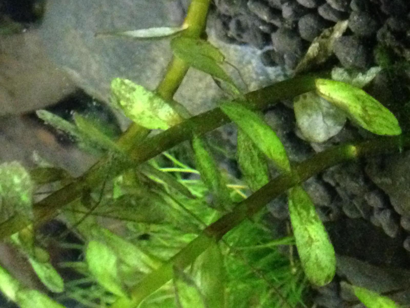 17128_5c4e3a63c019a.jpg 1600X1200 px