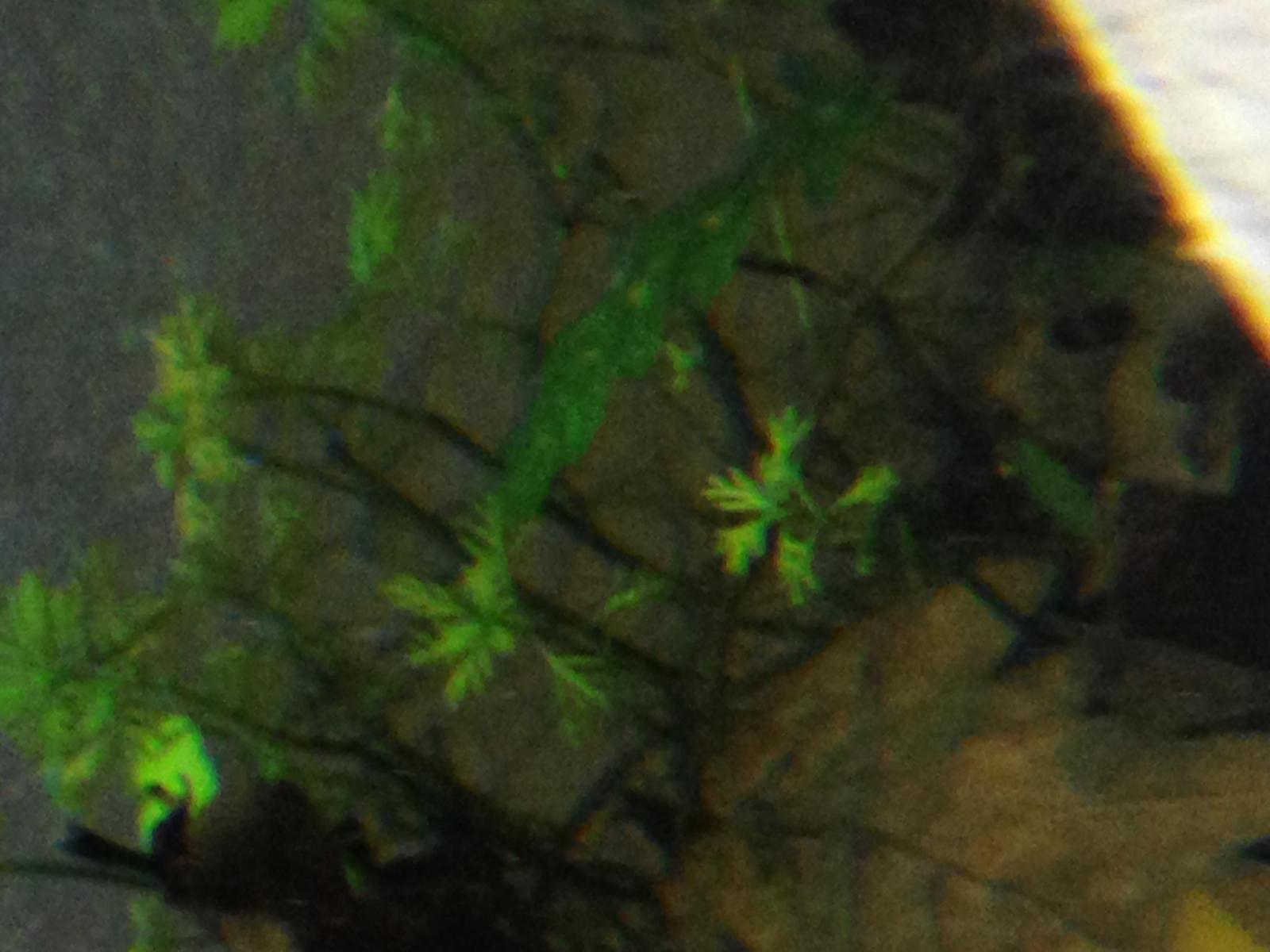 17128_5c4e3a822f72f.jpg 1600X1200 px