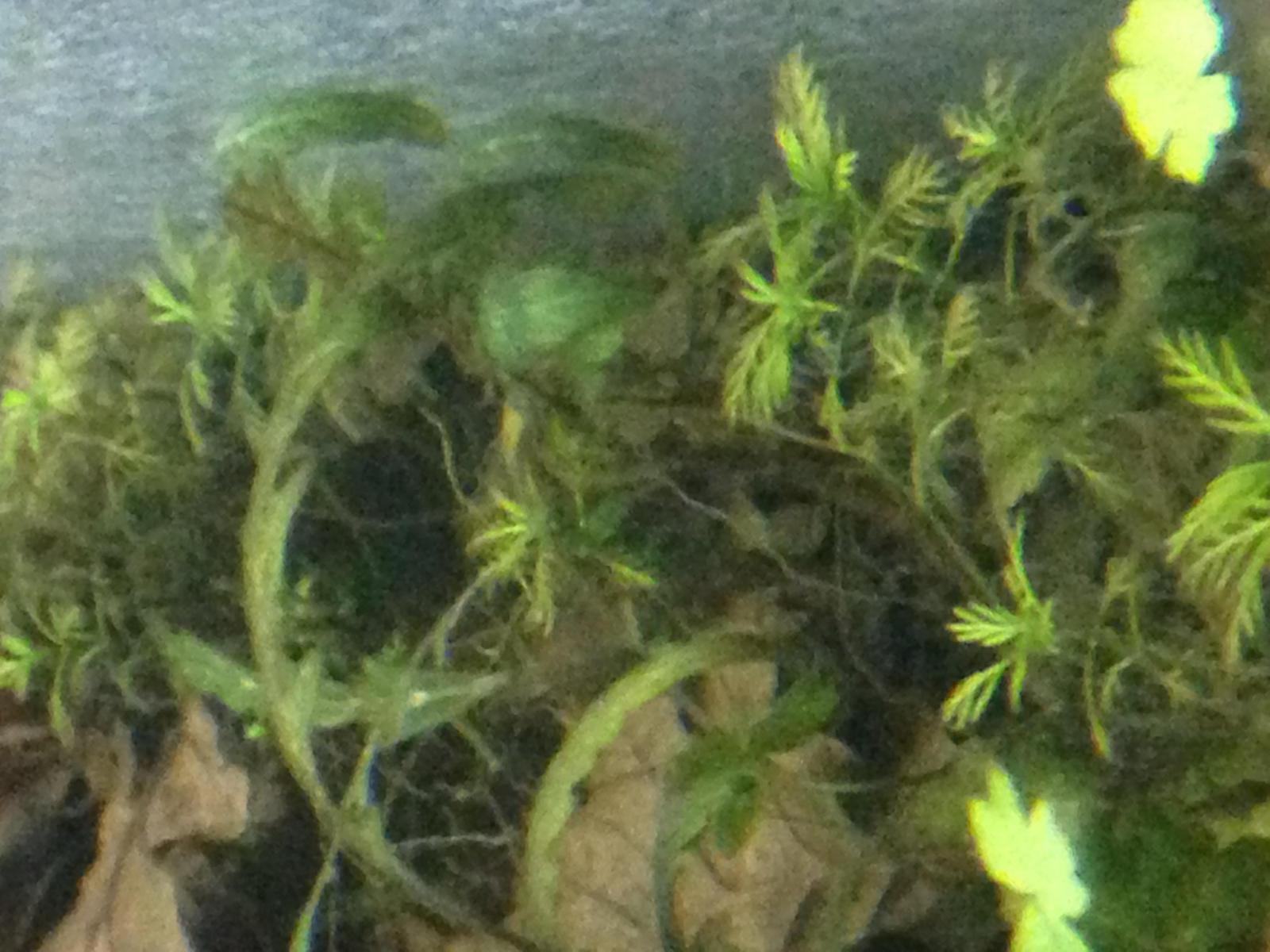 17128_5c4e3a93ecbb1.jpg 1600X1200 px