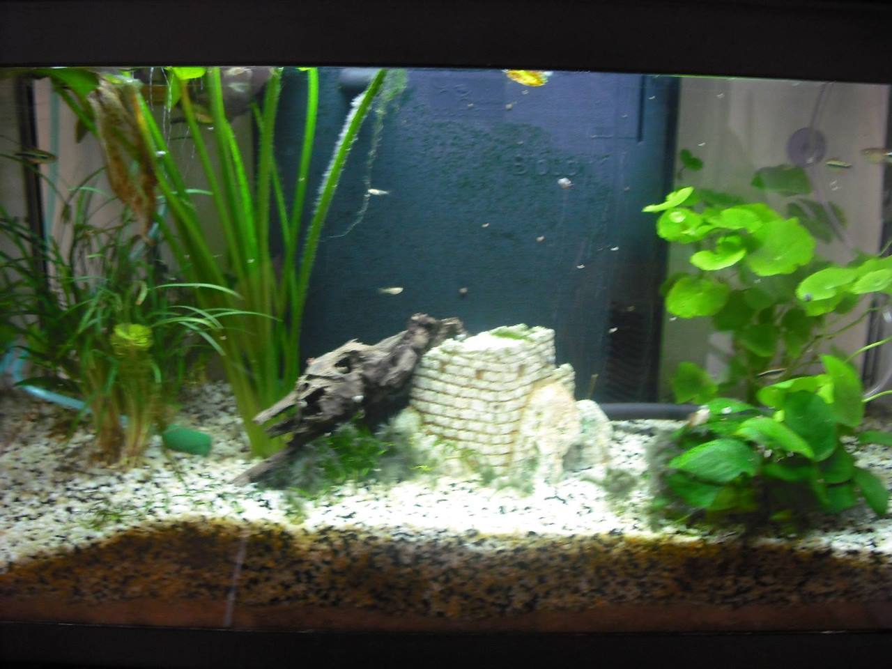 1743_49c9d5cedac10.jpg 1280X960 px