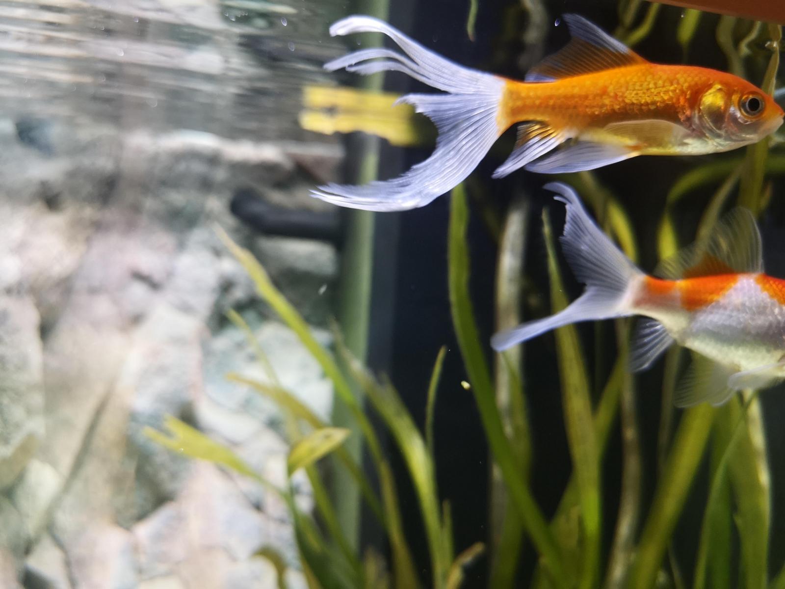 18849_5d6822534d8f0.jpg 1600X1200 px