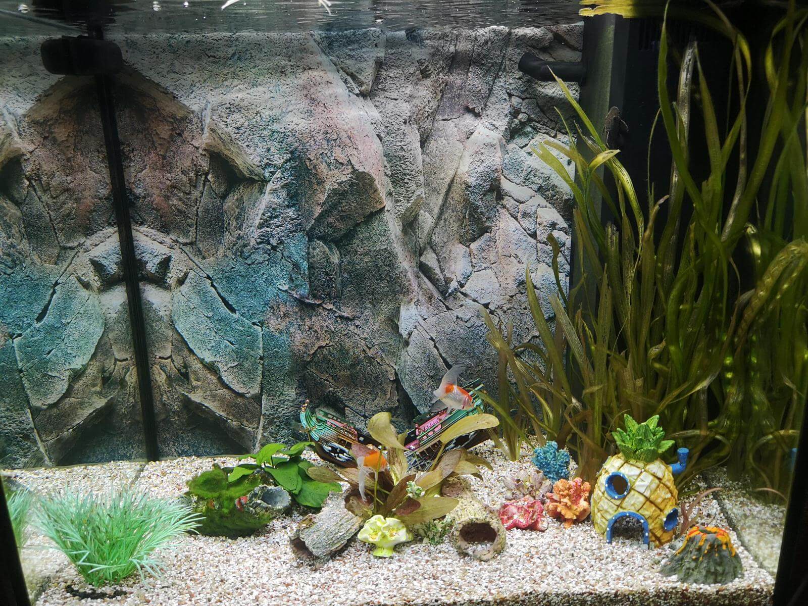 18849_5d68227277a8c.jpg 1600X1200 px