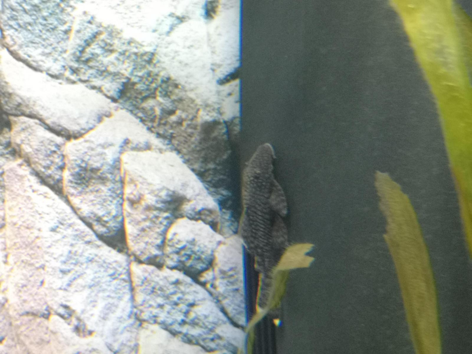 18849_5d682289a44fc.jpg 1600X1200 px