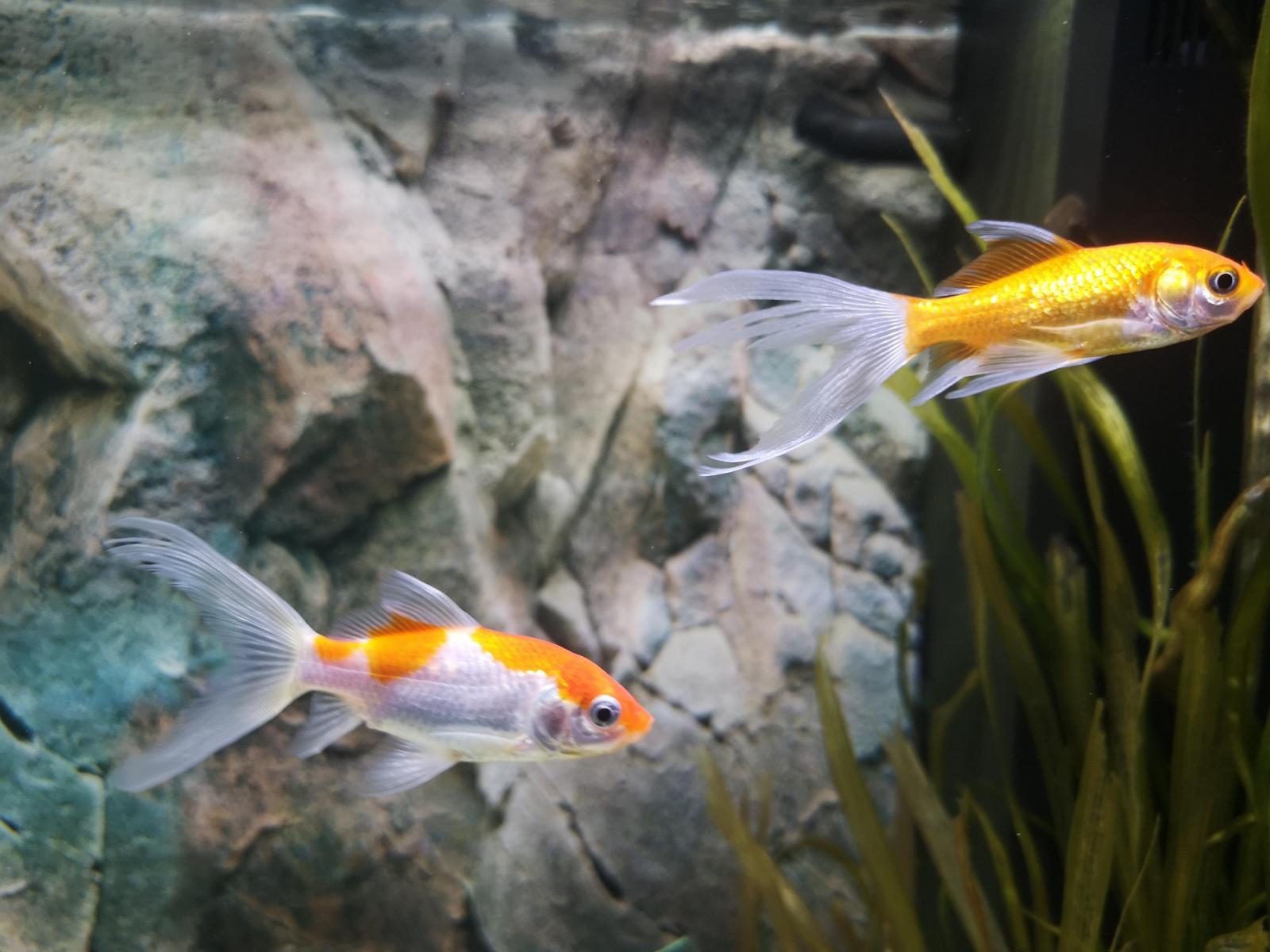 18849_5d6822cf68fe7.jpg 1600X1200 px