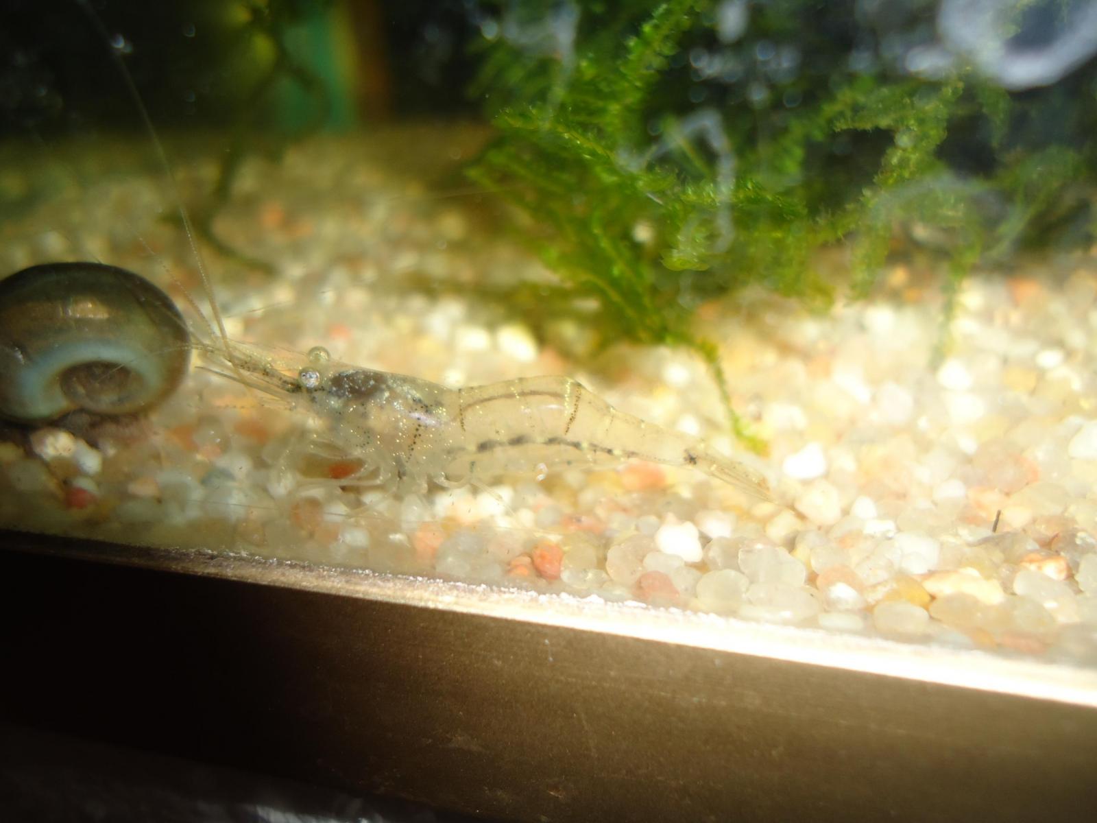 19215_5dadda4cecbaf.jpg 1600X1200 px