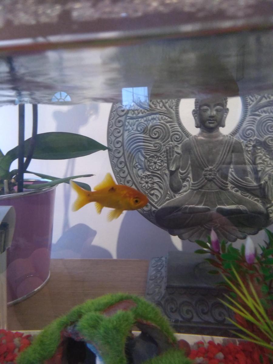 19319_5dc14eec5bcbe.jpg 900X1200 px