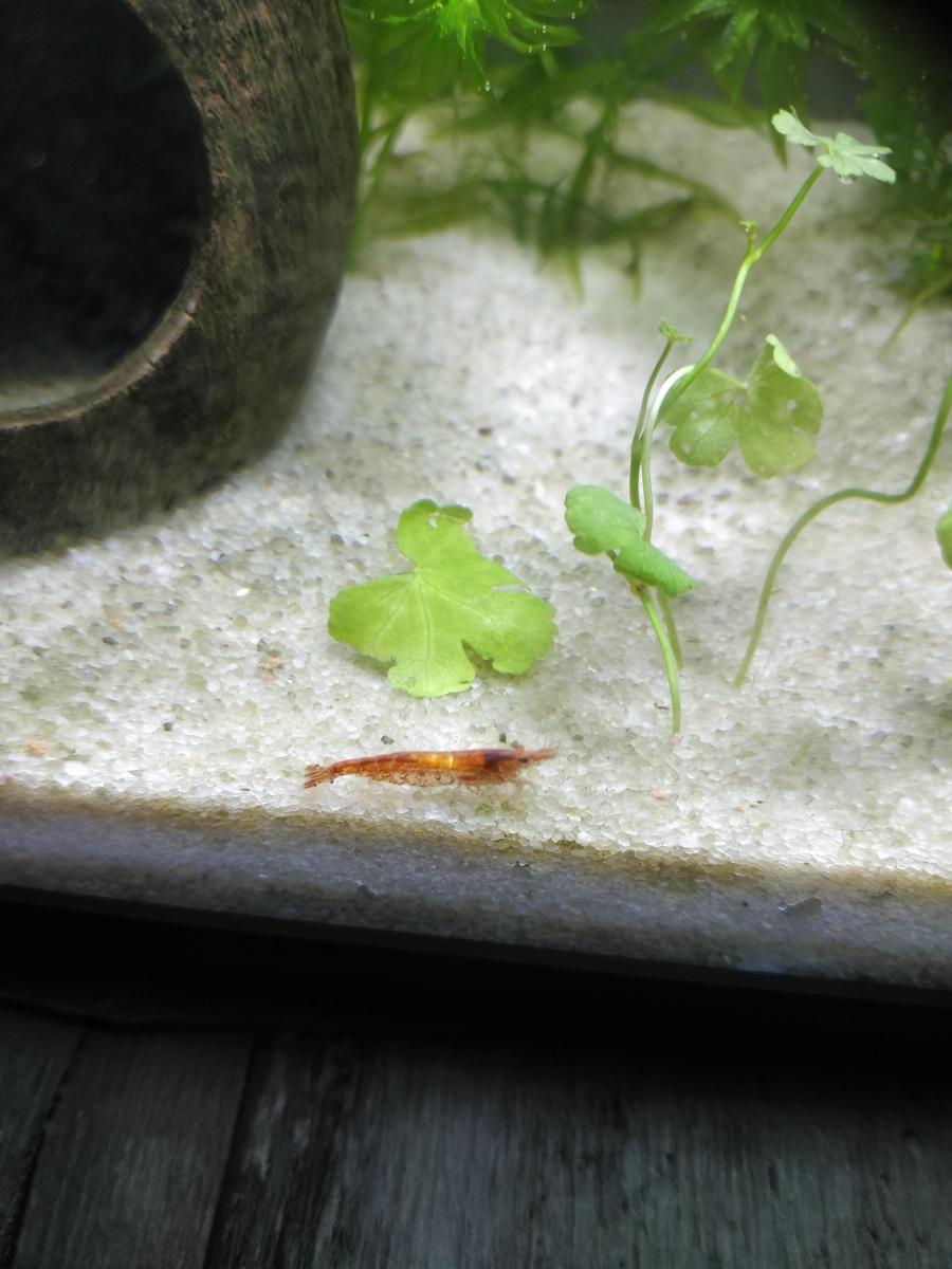 19683_5e729024db882.jpg 900X1200 px