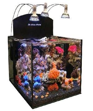 2004_4d545592887e1.jpg 300X359 px