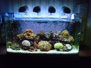 2004_4d89e924c29f9.jpg 300X225 px