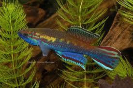 20413_5f6da9eebd092.jpg 275X183 px