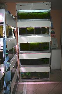 20413_5f6f93ae6f92b.jpg 213X319 px