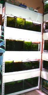 20413_5f6f93f103a8c.jpg 164X319 px