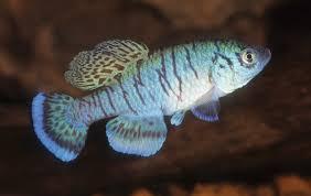 20413_5f72d83137795.jpg 282X178 px