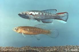 20413_5f72dd6d71fd2.jpg 277X182 px