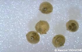 20413_5f76c287d2538.jpg 282X179 px