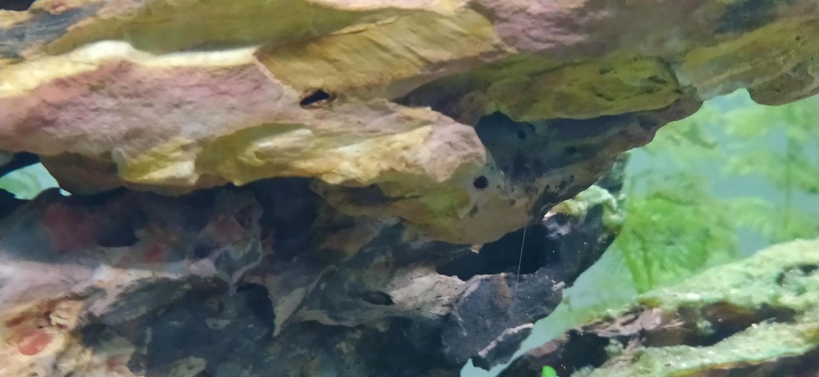 20746_61c5c8126172d.jpg 1600X738 px