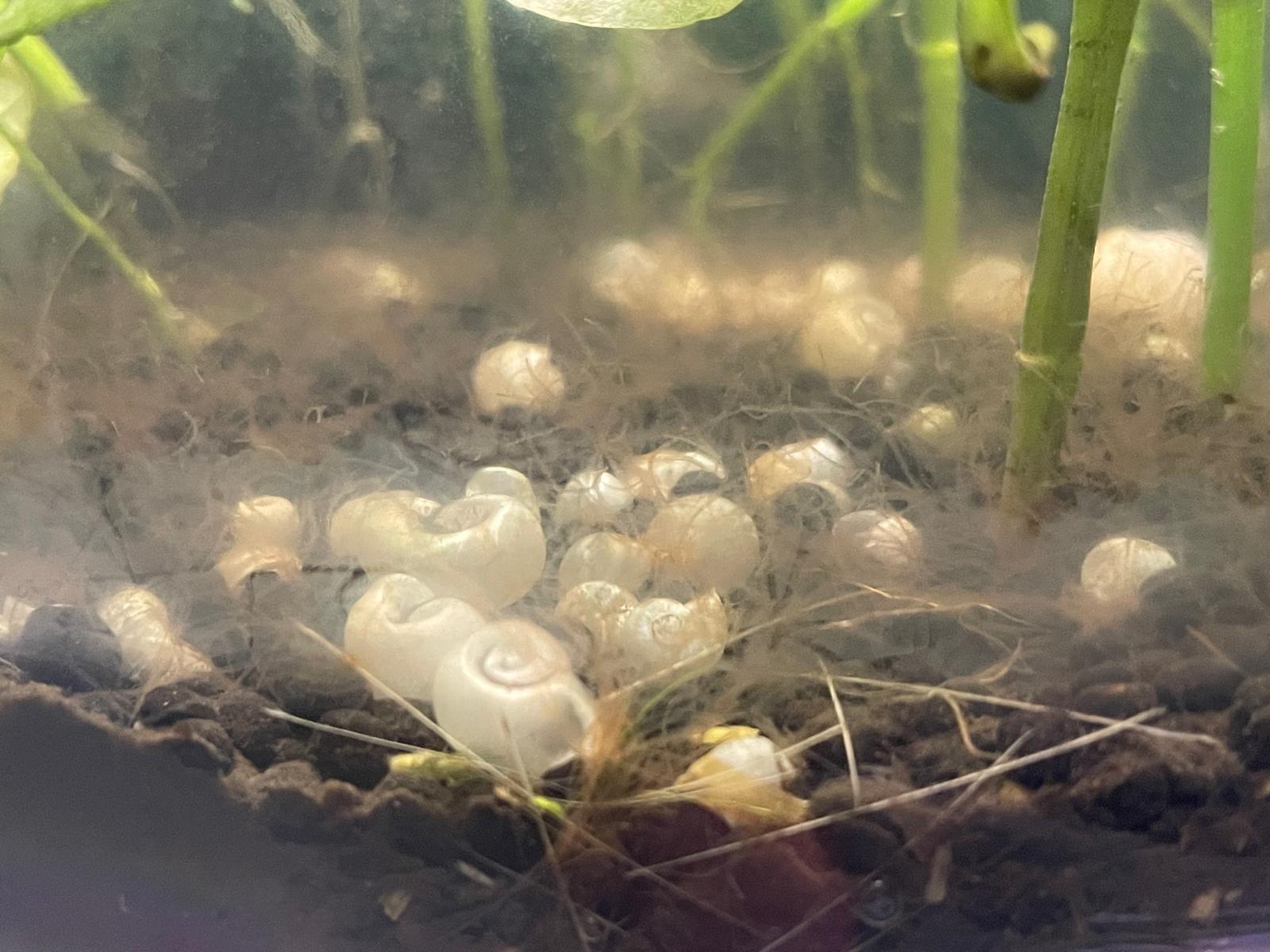 22331_68b9c34ac26dc.jpg 1600X1200 px