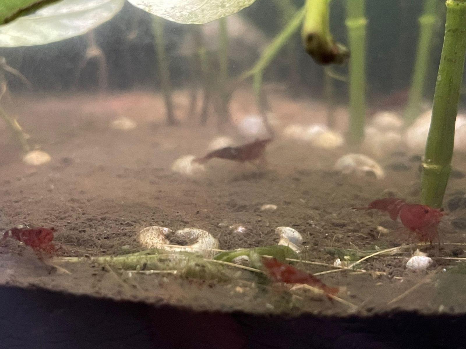 22331_68c07c6438e6b.jpg 1600X1200 px