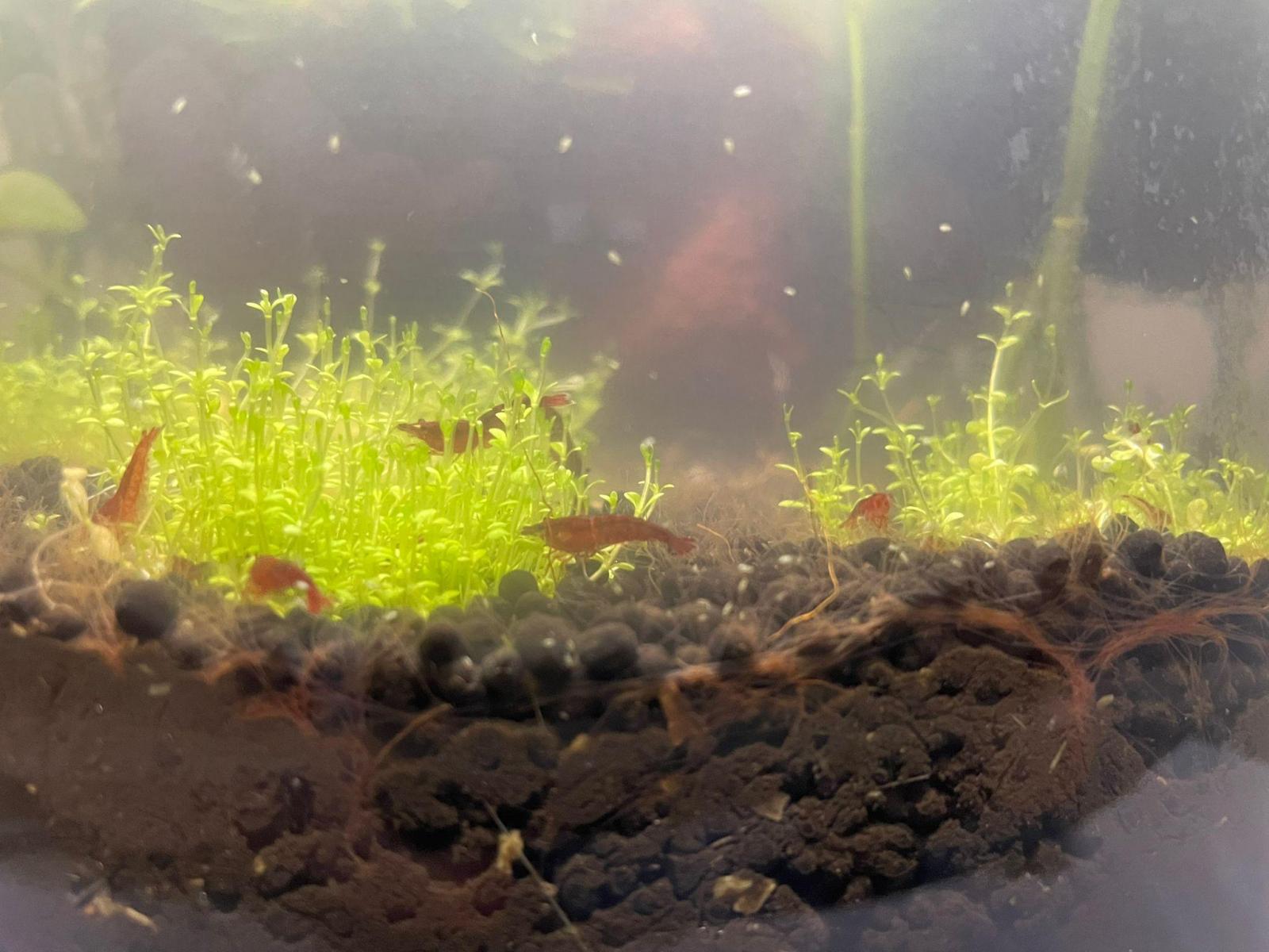 22331_68c7b190f1969.jpg 1600X1200 px