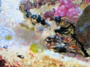 2_4eca867ca0940.jpg 300X225 px