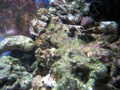 396_46c5dff8364c2.jpg 240X180 px