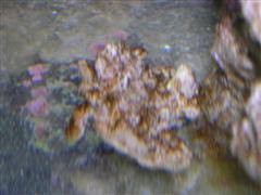 396_46c5e025cd5c5.jpg 240X180 px