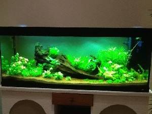 5342_52795102bbc39.jpg 300X225 px