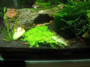 5412_51c315807c6c5.jpg 300X225 px