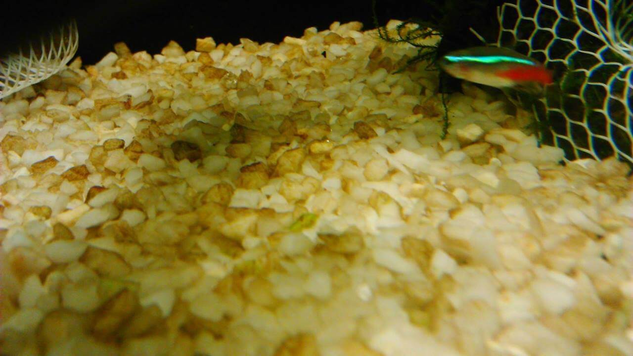 8436_543d0559bcb3a.jpg 1280X720 px