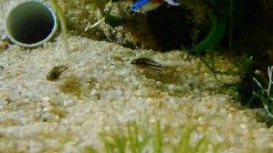 8436_54465007cfc60.jpg 299X168 px