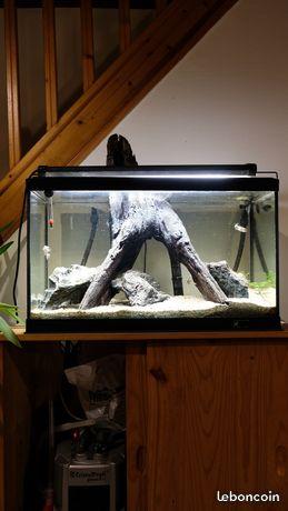 8904_5c850f3498dce.jpg 259X460 px
