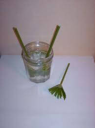 9023_54ca7b24c8704.jpg 194X260 px